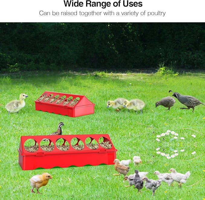 Chick Feeder and Waterer Kit, Chick Feeder Trough and 0.3 Gallon Chick Waterer, No Waste Baby Chick Starter Kit for Chicks, Ducks, and Quail