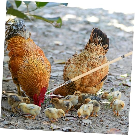 Kisangel Heavy Duty Poultry Catcher Hook for Efficient Chicken Handling Versatile Tool for Farms and Animal Capture Animal Safety Design