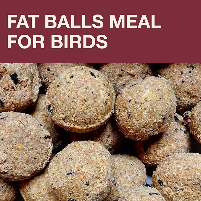 SWISSINNO Bird Feeders - No Mess Fat Ball/Suet Feeder for Outdoors Hanging - Smart Birds Lucerne Spill Proof Wild Cardinal Bird Feeder with Integrated Seed Catcher Tray - Burgundy
