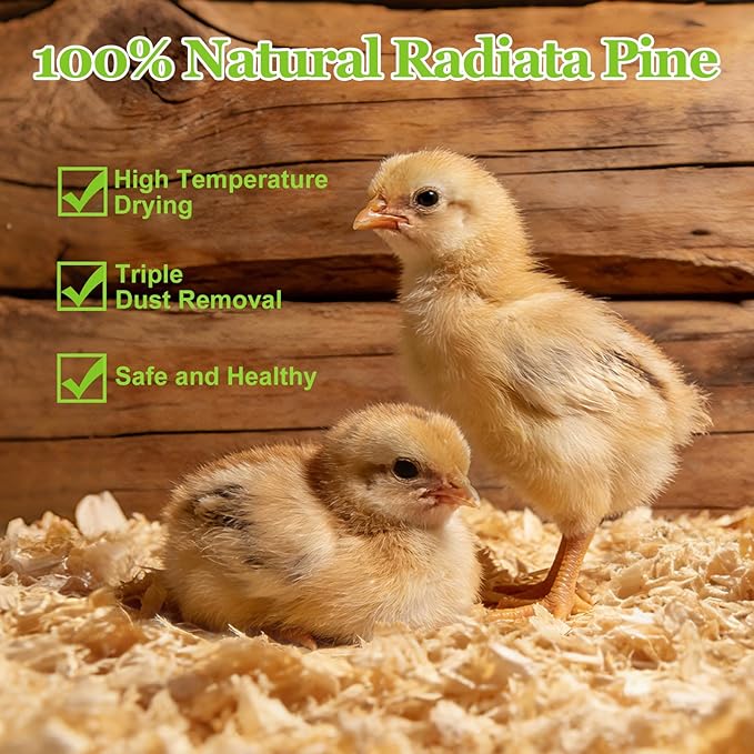 80 Ounces Premium 100% Natural Radiata Pine Shavings for Chicken Coop Bedding,5LB Wood Pine Shavings,Super Absorbent,Low Dust,Eliminating Bad Smells for Chicken Coops Nesting Boxes Brooder