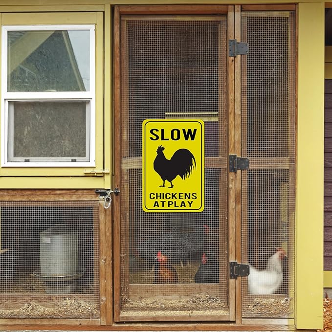 Chicken Coop Tin Sign for Home Farm Kitchen Outdoor Decor, Funny Chicken Saying, 12x8 Inch, 3 Styles (Color 2)