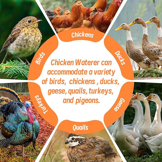 Heated Chicken Waterer 6L Thermostatically Controlled Poultry Water Heater with Overheating Protection, Galvanized Steel Handle Automatic Heated Poultry Drinker for Coop Chickens, Ducks, Geese (Red)
