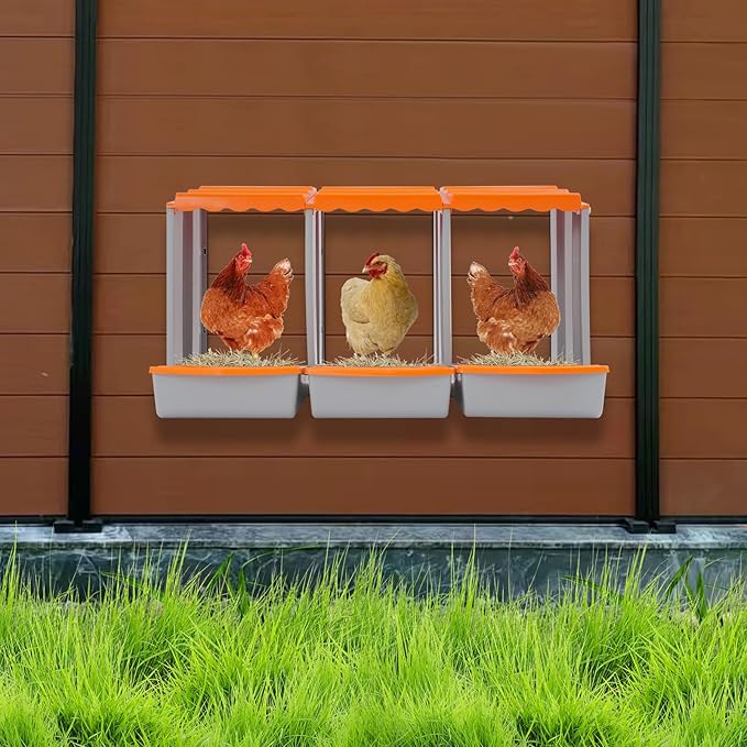 Chicken Nesting Box, 3 Compartments PP Nesting Box, Wall Mountable Nesting Boxes with Inclined Top, Drain Holes & Resting Platform for Chicken and Poultry to Collect Eggs