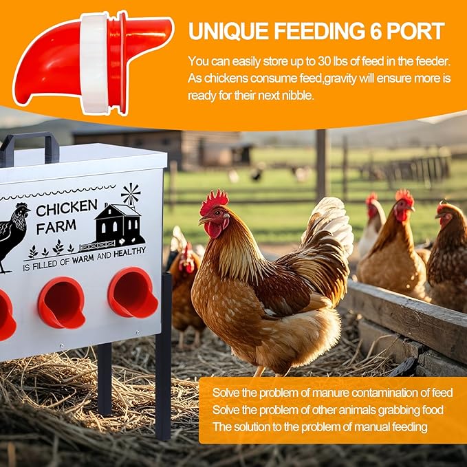 Automatic Chicken Feeder Box 30 lbs, 6 Feeding Ports, No Waste Poultry Feeder with Locking Lid and Adjustable Legs for Chickens, Ducks, Geese Galvanized Metal (30 Lbs-6 Ports)