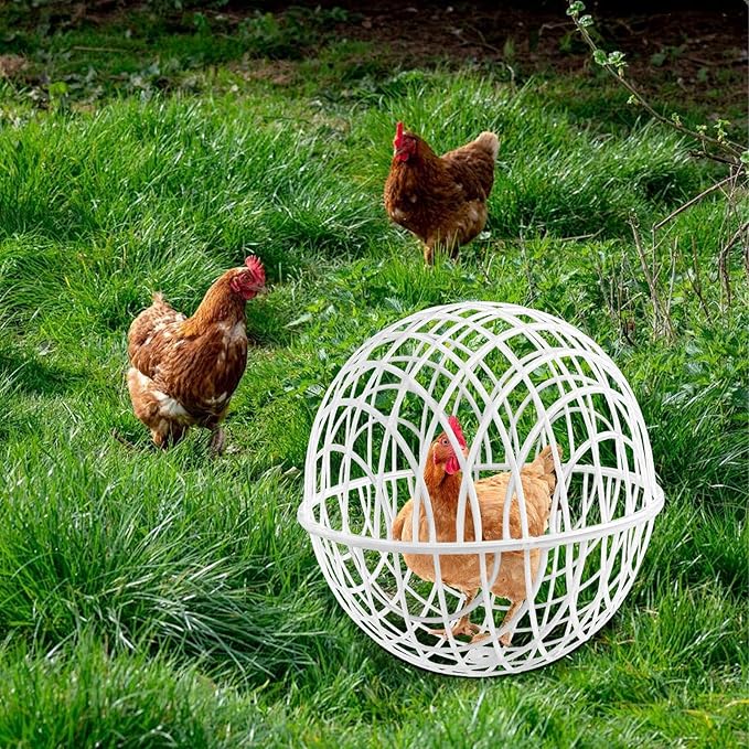 3 Pieces Ball-Shaped Movable Chicken Coop Chicken Balls Cage Farm Outdoor Rolling Bunny Duck Hutch Safe Walking Net Preventing Dog Bites Trampled by Horse