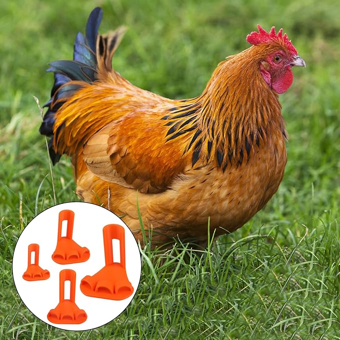 4-Piece Poultry Leg Splint Set with Holes- Professional Bumble Foot Treatment for Chickens & Duck for Fractures,Curled Toes,Osteoarthritis,Complete Bumblefoot Treatment Solution for All Growth Stages
