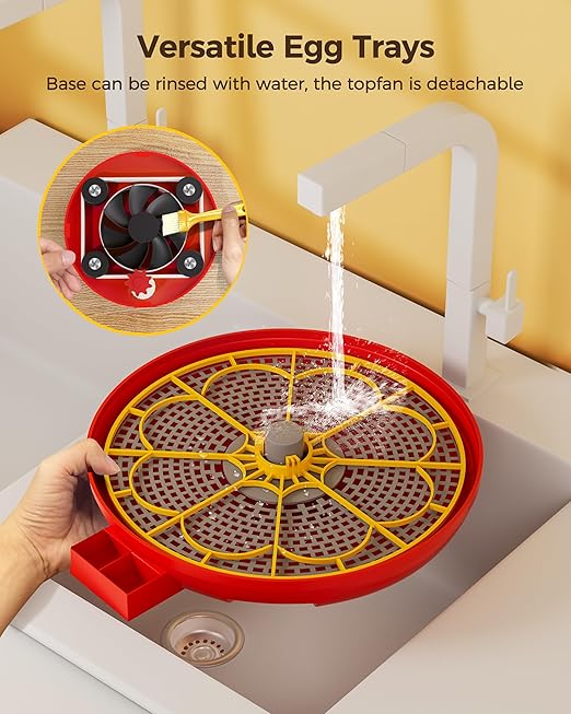 Egg Incubator, Automatic Egg Incubator, 18 Egg Incubator, Incubator for Hatching Eggs, Chicken Egg Incubator – Temperature & Humidity Control, Auto Turner, Alarm & Candling for Backyard Home