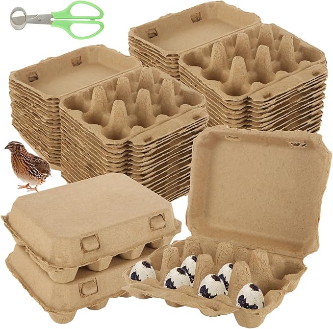 50Pcs Quail Egg Cartons, 5.1X3.9 X1.6Inch Quail Egg Holder, 3x4 Blank Natural Pulp Paper Jumbo Eggs Carton Bulk with Scissors for Home Kitchen Farmhouse Refrigerator