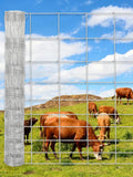 Cattle Farm Fence, 6x328ft Galvanized Wire Fencing 14GA Heavy Zinc Coating Wire Fencing, for Goat Deer Yard Livestock Animals Protection (6x328ft(14GA))