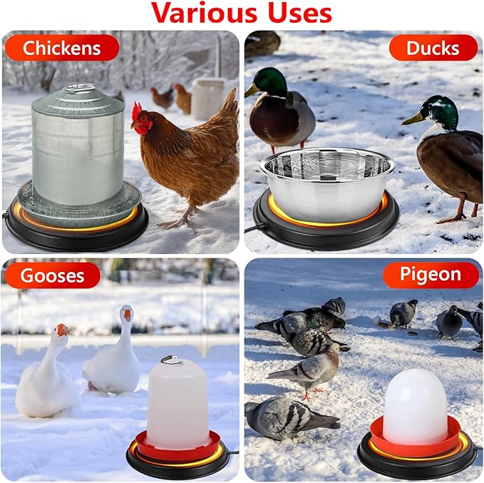 Poultry Water Heater Base for Winter, for Plastic/Metal Poultry Waterer, 14inch Thermostatically Controlled Heated Waterer for Chickens 80W,Chicken Coop Accessories