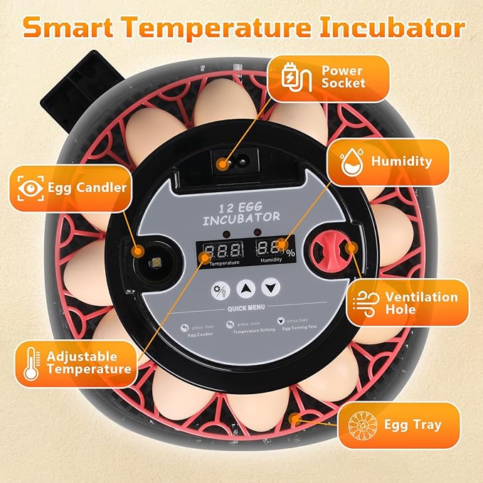 12-Egg Incubator, Automatic Egg Turning Function, Humidity Control, External Water Bottle for Watering, 360° Observation, Suitable for Chickens, Ducks, Geese, and Quails