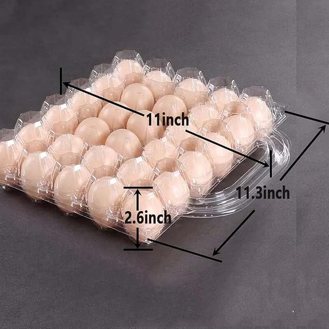 30 Piece Portable Transparent Egg Cartons Plastic Egg Container Specification 5×6 30 Piece Plastic egg Paper Box Suitable For Farm Egg Carton (5x6 30 portable bulk egg cartons, 30 pieces)
