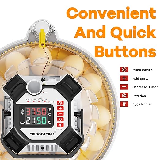 Incubators for Hatching Eggs, 12–18 Egg Capacity Digital Egg Incubator with Automatic Egg Turning and Accurate Humidity Control for Chicken, Quail, Duck