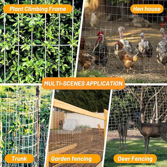 AMAGABELI GARDEN & HOME Weld Wire Fence 36 inch x 50ft 2 Inch x 4 Inch Galvanized Hardware Cloth 14 Gauge Wire Mesh Fence Roll for Vegetables Garden Border Poultry Netting Chicken Coop Dog Barrier