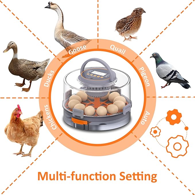 12 Incubators for Hatching Eggs, Egg Incubator with Automatic Egg Turning and Humidity Control, Intelligent Egg Incubator with Automatic Temp. Adjustment
