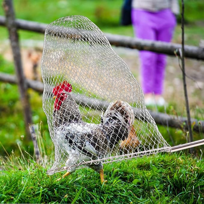 Chicken Net Catchers 2 Piece Set Chicken Supplies Essential Small Animal Catchers for Chicken Coops Stainless Steel Folding Chicken Catchers for Chickens Ducks Fish and Birds