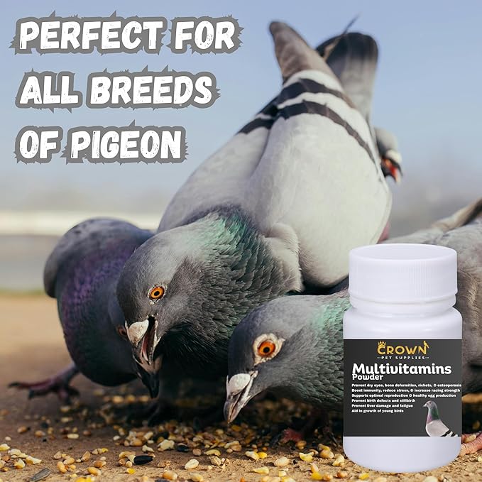 Multivitamin Powder for Pigeons – Ultimate Vitamin Formula for Racing & Breeding – Supports Growth, Bone Strength, Reproductive Health & Feather Health - Promotes Peak Performance & Well-Being 50g