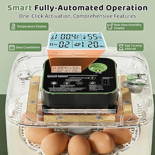 Incubators for Hatching Eggs 12 Egg Digital Egg Incubator Precision Auto Temp Humidity Control 6 Gear Adjustable Auto Turner Auto Stop Turning Hatching Days Display for Chicken Duck Goose Eggs