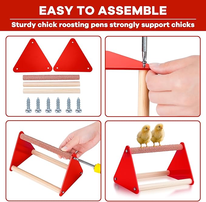 Chicken Feeder and Waterer Set, Chick Starter Kit with Chick Perch