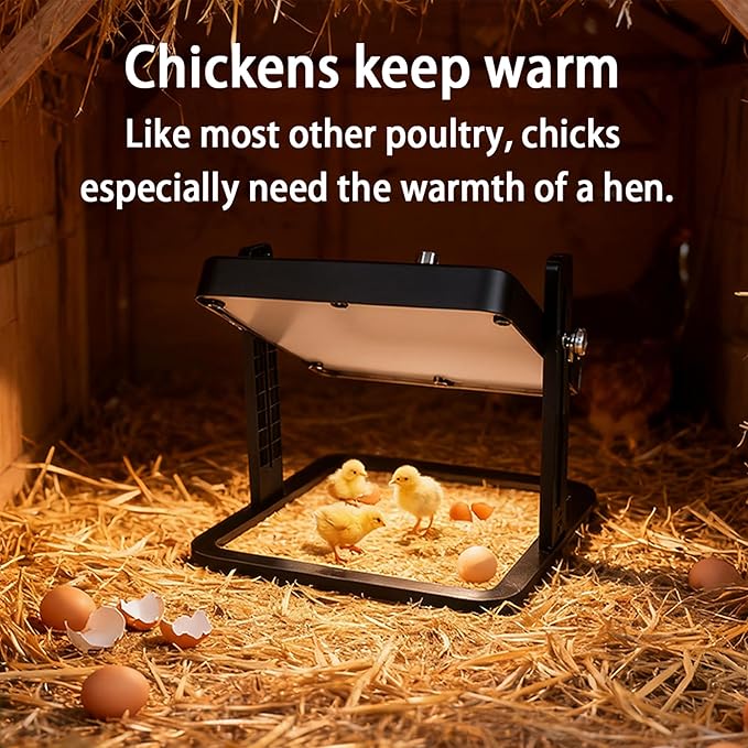 Brooder Heater for Chicks – 10.8" Radiant Heat Plate with Adjustable Height & Angle, Thermostat Control (113–158 ℉), Safe & Even Warmth for up to 15 Baby Chicks