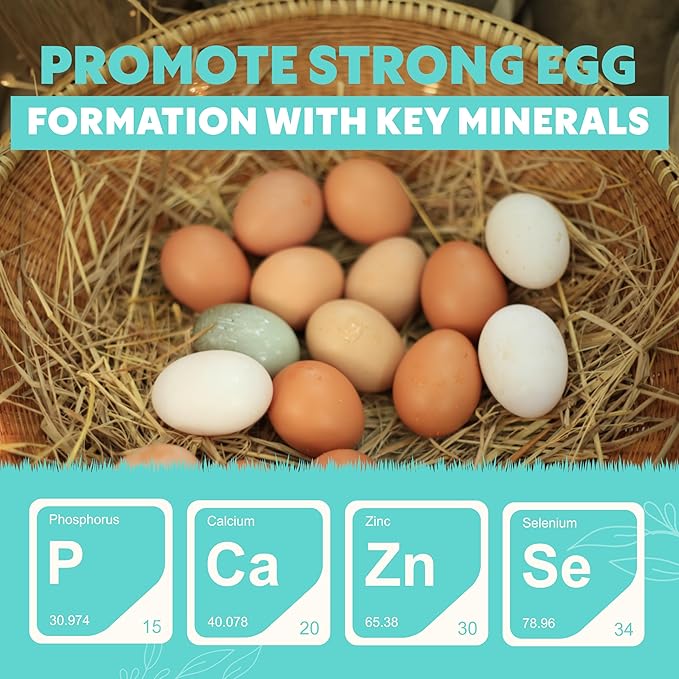 Fresh Eggs Daily Poultry Electrolyte Powder - Hydration Support Drink Mix with Probiotics for Chickens & Ducks - Natural Supplement for Environmental Challenges, Immune Health & Egg Quality - 8 Oz