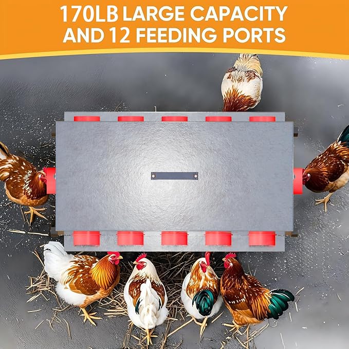 170 LB Automatic Chicken Feeder 12 Port Large Metal Poultry Feeders Box Feeder with Adjustable Height, Locking Lid & Handles,Rustproof Feed Box for Poultry & Backyard Chickens