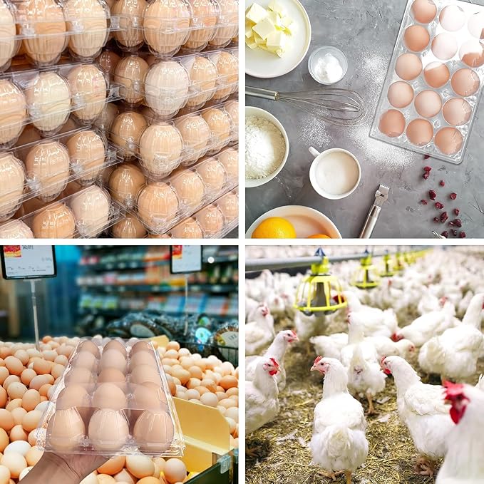 Plastic Egg Cartons Bulk 3x5 Egg Holders Style Holds 15 Eggs - Half Dozen Storage Perfect for Family Pasture, Groceries Chicken Farm, Refrigerator Storage (15 Grids) 50 Pack