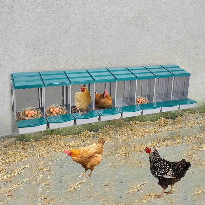 Chicken Nesting Boxes 8 Compartment PP Nesting Box with Inclined Nesting Boxes & Vented Holes Wall Mount Chicken Laying Boxes for Chicken Coop (Green)