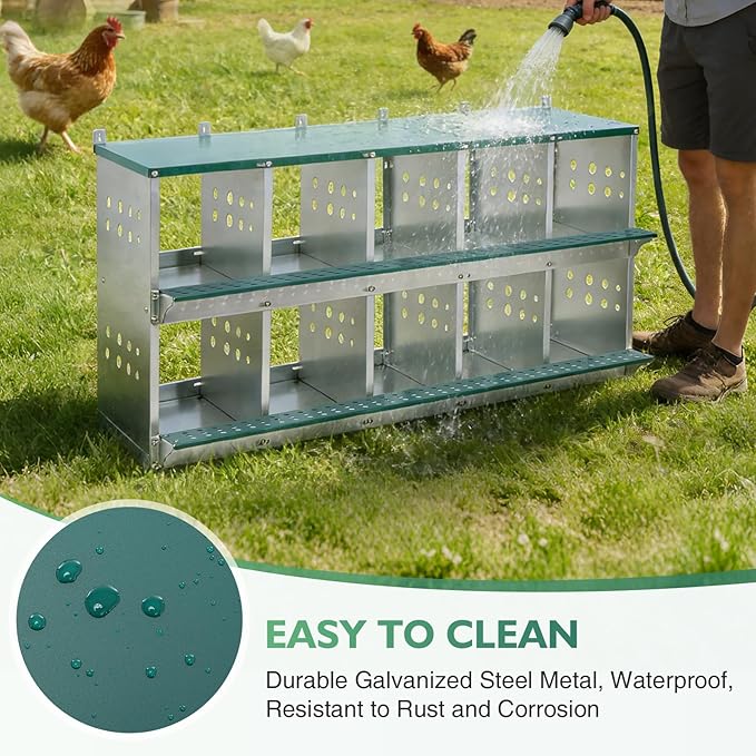 EAGLE PEAK 10-Hole Wall Mounted Chicken Nesting Box, Roll Away Hen Laying Box with Sloped Roof & Easy Clean Tray, Galvanized Steel for Backyard Chicken Coops (Green)