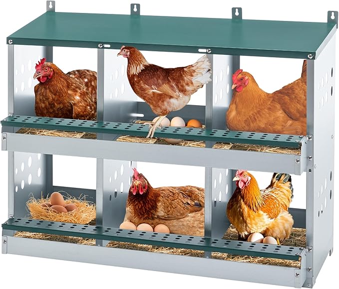 3/4/6/8/10 Holes Chicken Nesting Box for Chickens Hens Ducks, Metal Nesting Boxes for Chickens Wall Mount Egg Laying Nesting Boxes for Chicken (Green, 6 Compartment)