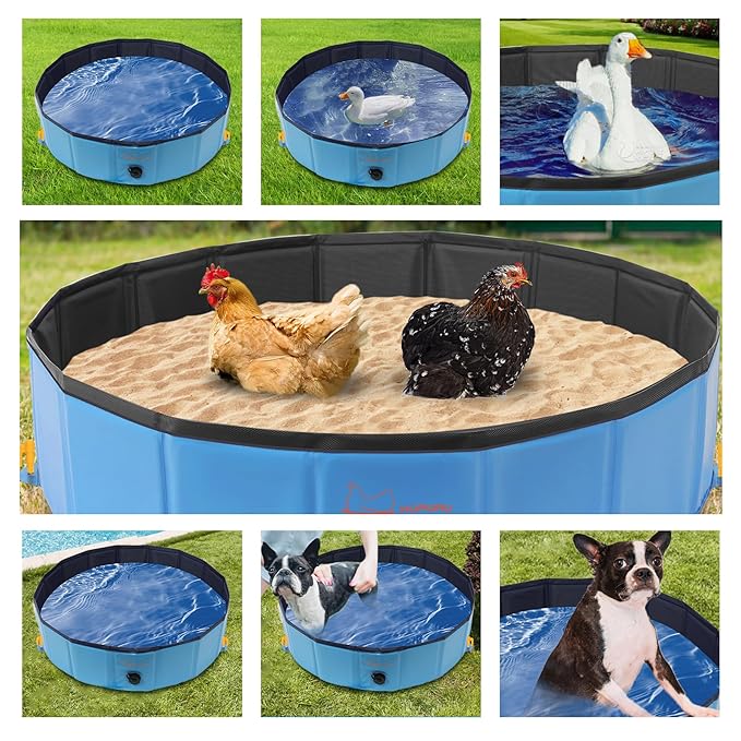 Chicken Dust Bath Tub (32'' D * 8'' H), Foldable Design, Extra-Tough PVC, Dust Bath for Chickens, Chicken Coop Lime,Chicken House Cleaner Container,Essential Chicken Coop Accessory（Blue）