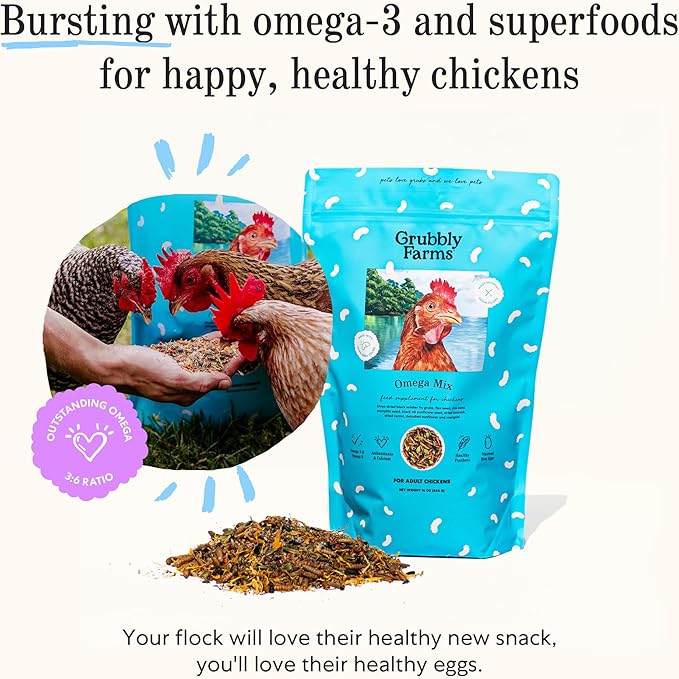 Grubbly Farms Supplements Bundle - Layer Calcium, Probiotics+Prebiotics, Vitamins+Electrolytes & Omega Mix - Complete Nutrition Support, Strong Eggshells & Digestive Wellness for Laying Hens - 4 Pack