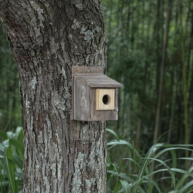 4 Pieces Bluebird House Predator Guard,Wooden Birdhouse Guard,Bird House Hole Protector Guard for Eastern Bluebird Box 1 1/2 Inch Opening