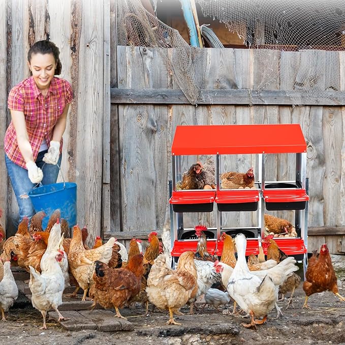 Heavy Duty 6 Hole Chicken Nesting Box with Roll Away Egg Collection System - Rustproof Plastic Tray, Ventilation Holes & Keyhole Mounting - Laying Box for Hens and Ducks (Green)