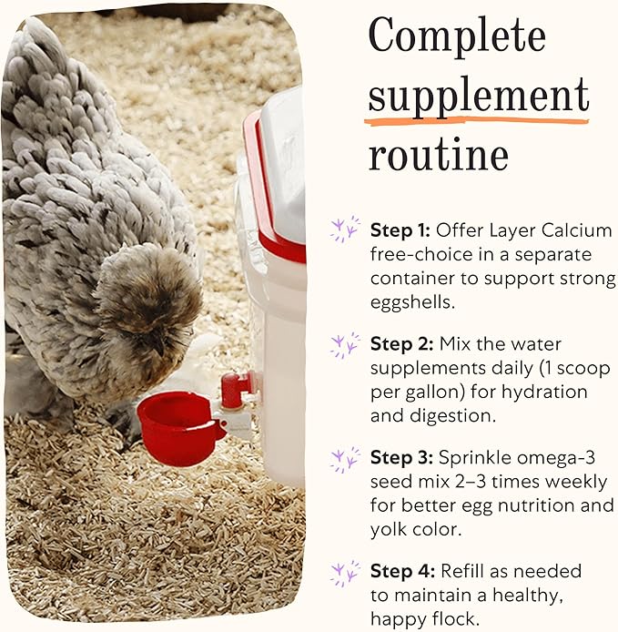 Grubbly Farms Supplements Bundle - Layer Calcium, Probiotics+Prebiotics, Vitamins+Electrolytes & Omega Mix - Complete Nutrition Support, Strong Eggshells & Digestive Wellness for Laying Hens - 4 Pack