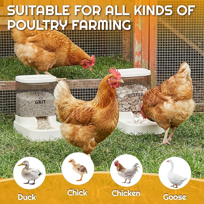 2 Pcs Chicken Oyster Shell Feeder and Grit Feeder Combo Automatic Chicken Coop Accessories for Poultry Farms Quail Pigeons Doves Chicks Rust Prevention with Installation Tools Sticker