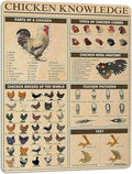PAIION Chicken Knowledge Metal Tin Sign Chicken Breeds of The World Infographics Poster for Club Cafe Bar Home Kitchen Wall Decorations 16x12 Inch