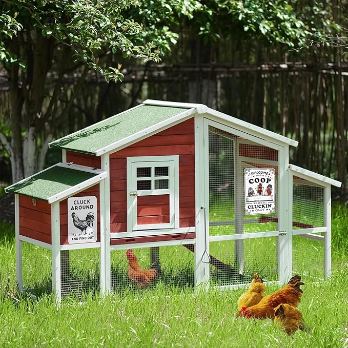 2 pack Sign for Home Farm Chicken Coop & Welcome To Our Coop Funny Chicken Sign Farmhouse Kicthen Garden Decor Chicken Coop Sign Chicken Decor 12" * 8"