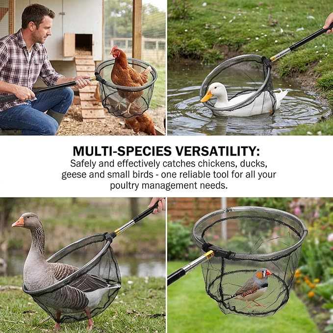 Chicken Net, Adjustable Animal Net with Handle 16-60 Inch Telescoping Steel Pole with Folding Head for Catching Birds, Poultry, and Small Animals Chicken, Butterfly, Fishing, Bird Catc