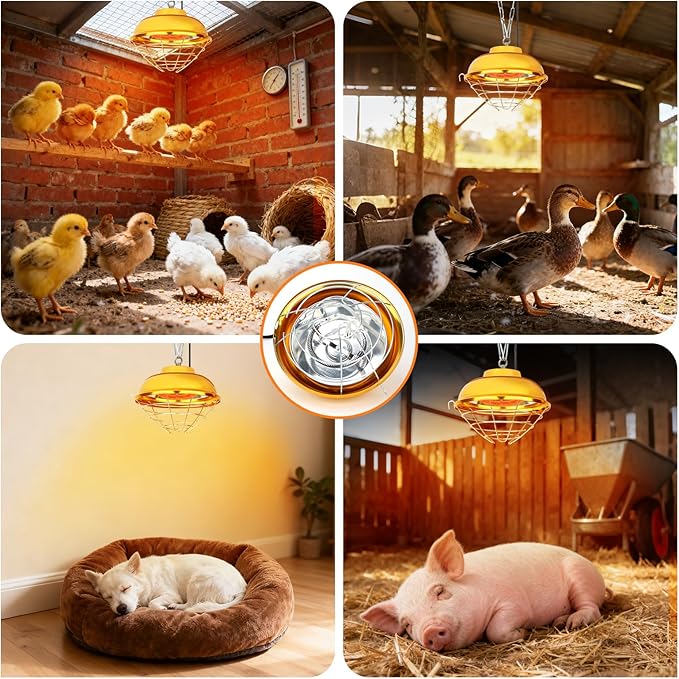 300W Chicken Coop Heater Lamp, Waterproof Heat Lamp for Chickens with 2-Stage, Brooder Heater for Chicks with Chain for Indoor & Outdoor Use Heating Lamps for Chick Duck Rabbit Dog