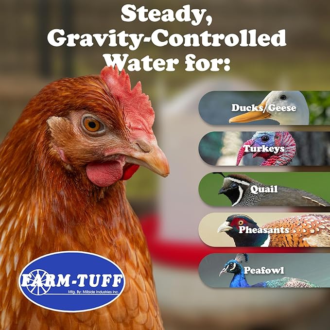 FARM-TUFF Plastic Easy Fill Poultry Waterer, 5 Gallon Capacity – Chicken and Game Bird Water Dispenser – Gravity-Fed Plastic Water Fountain for Hens, Ducks, Turkeys, and Backyard Flocks