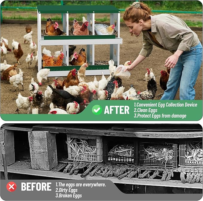 Chicken Nesting Box,6 Compartment Metal Poultry Nest Box Wall Mount, Metal Roll Away Eggs Laying Boxes, Easy Egg Collection, Easy Cleaning,10 Room Chicken Coop for Hens