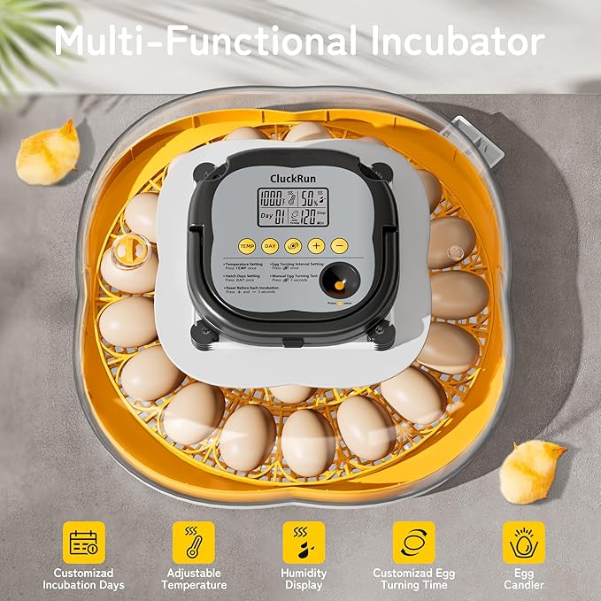 25 Egg Incubator, Temperature & Humidity Control, Programmable Automatic Egg Turning & Auto Stop, Settable Incubation Period, Egg Candler, Auto Water Refill, Air Vent, Hatching Chicken, Duck, Quail