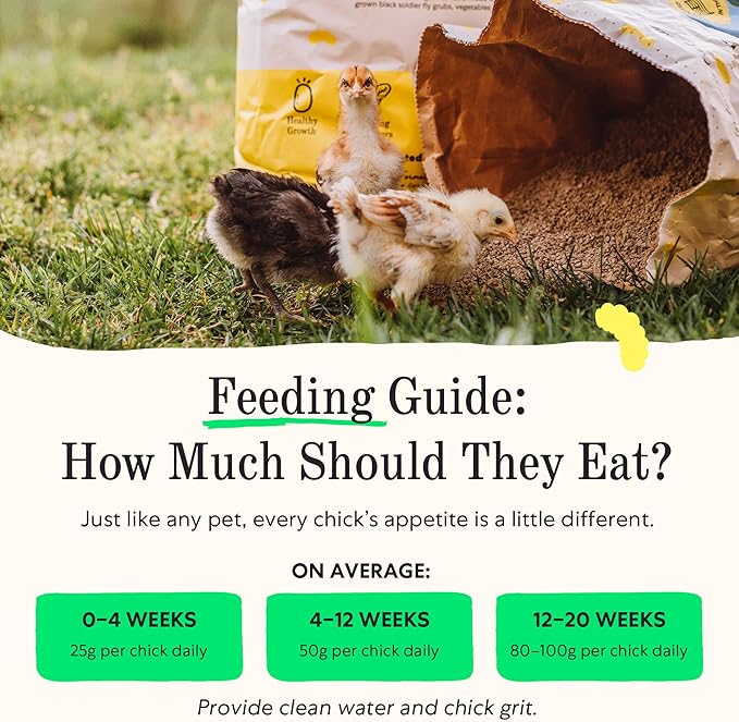 Grubbly Farms Little Pecks Starter Grower Feed – 19% Protein Chick Feed for Chicks, Ducklings, and Poults 0–20 Weeks – Made with Black Soldier Fly Grubs – No Soy, Corn, or Fish – 30 lb Bag