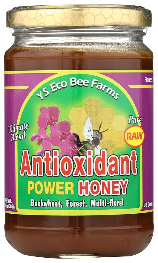 Raw Antioxidant Power Honey YS Eco Bee Farms 13 oz Paste