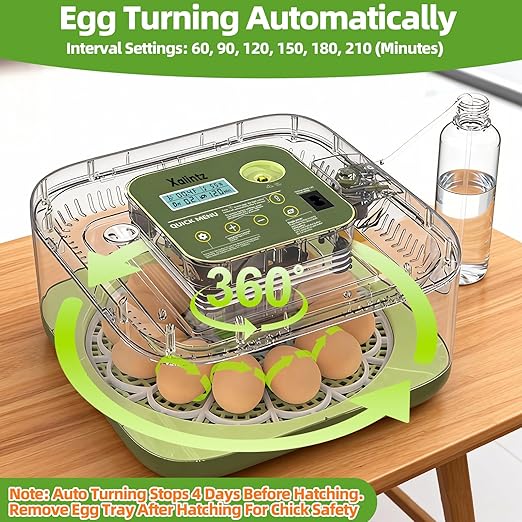 Automatic 12 Egg Incubator - Digital Temperature/Humidity Display, Hatch Day Countdown, Auto Egg Turner & Candler with 360° View for Hatching Chicken, Duck, Quail Eggs