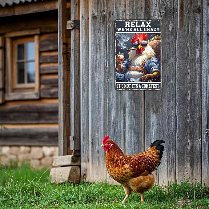 Funny Chicken Signs Relax,We're All Crazy Aluminium Sign Metal Chicken Signs Decor Home Ktichen Farm Are Wall 12x8 Inch Vintage Chicken Signs For Coop Metal Tin Signs Poster