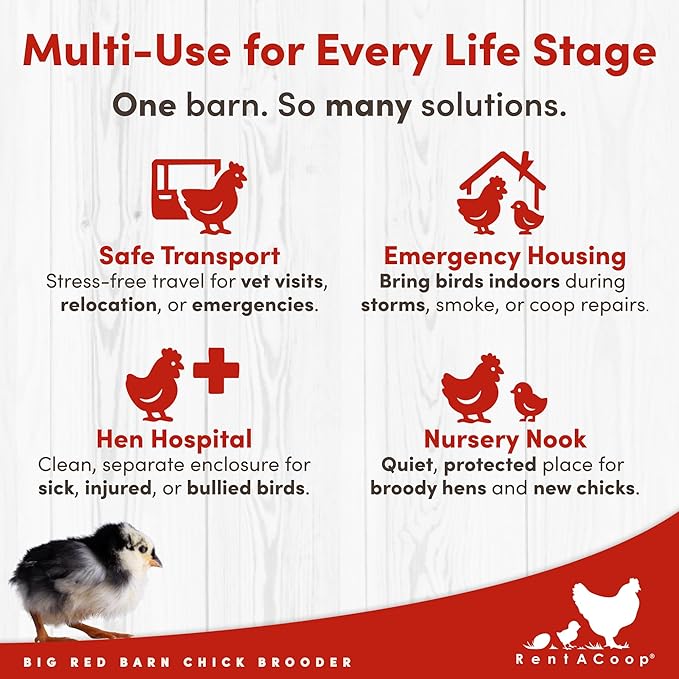 RentACoop Big Red Barn Chick Brooder | Durable, Lightweight, Easy-Clean, Multipurpose | with Absorbent Hatchling Liners, Jute Liners, LED Light, Security Latch