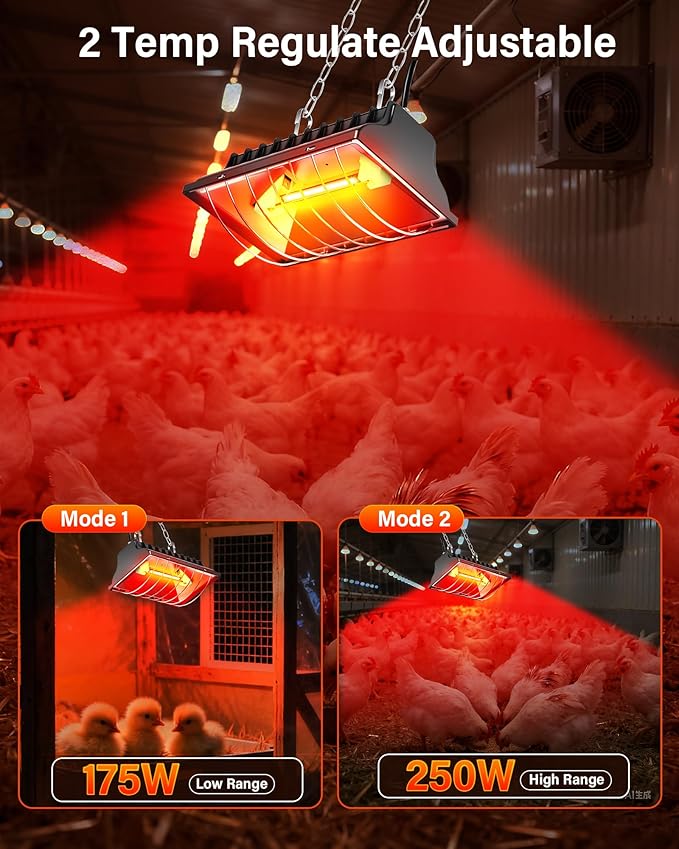 Chicken Coop Heater, ZIVASA 175W & 250W Dual-Mode Heat Lamp for Chickens with 3M Cord, Adjustable Hanging Height Brooder Heater for Ducks, Calves, Poultry and Livestock Pets Warmer in Winter
