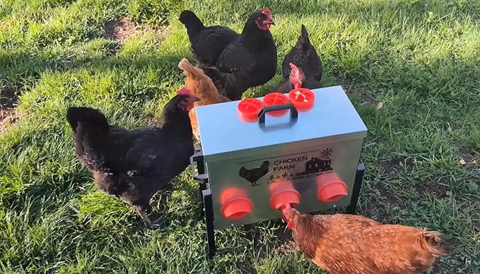 Automatic Chicken Feeder Box 30 lbs, 6 Feeding Ports, No Waste Poultry Feeder with Locking Lid and Adjustable Legs for Chickens, Ducks, Geese Galvanized Metal (30 Lbs-6 Ports)